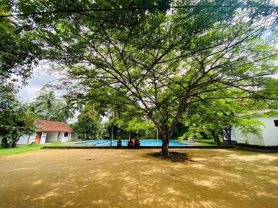 Randiyaepiliyagoda Resort Avissawella Exterior photo